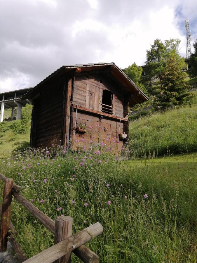 La Thuillettaz B&B Maisons de Montagne Saint-Rhemy-En-Bosses Extérieur photo