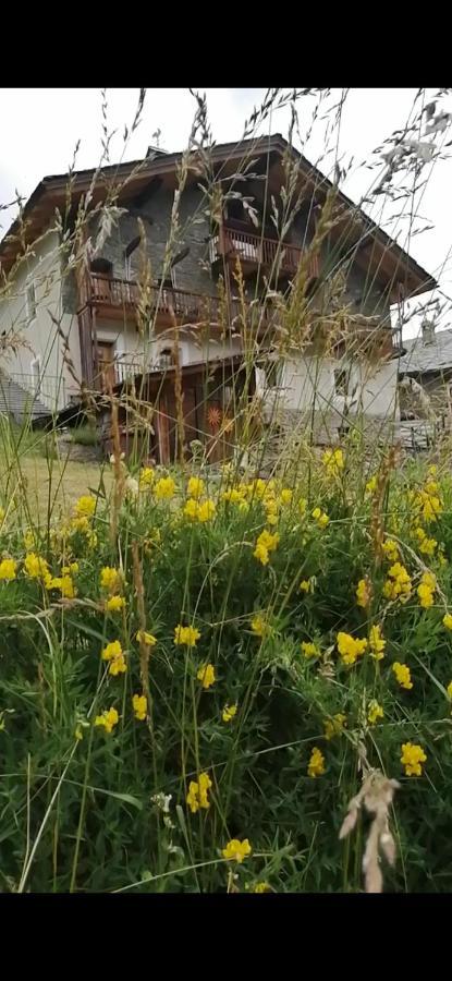 La Thuillettaz B&B Maisons de Montagne Saint-Rhemy-En-Bosses Extérieur photo