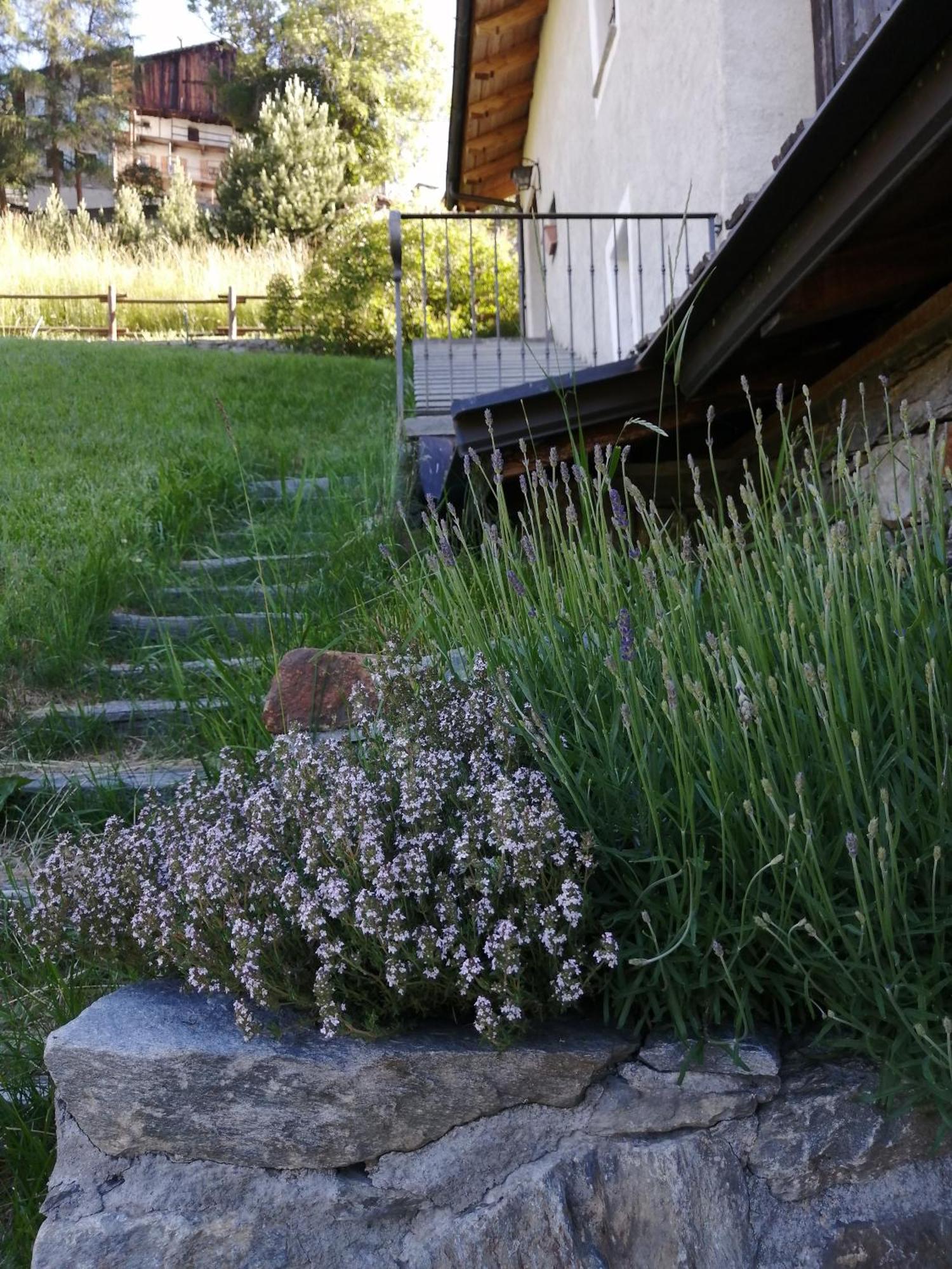 La Thuillettaz B&B Maisons de Montagne Saint-Rhemy-En-Bosses Chambre photo